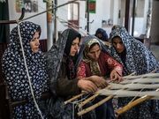توسعه کشاورزی در توانمندسازی ۱۰.۶ میلیون زن روستایی و عشایری برای تقویت امنیت غذایی کشور
