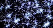 نورون (Neuron) چیست؟