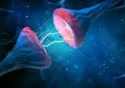 سیناپس (Synapse) چیست؟