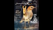 رویداد «چشم در چشم حیات‌وحش» برگزار می‌شود/ خلق آثار با الهام از مشاهدات میدانی در قلب زیستگاه‌ها
