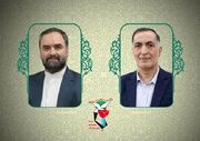 انتصاب مدیرکل دبیرخانه شورای عالی ترویج و توسعه فرهنگ ایثار و شهادت