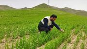 افتتاح ۱۰۶۳ طرح آب و خاک در هفته جهاد کشاورزی