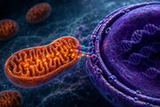 سلول‌ها انرژی مورد نیاز DNA را از یک سیستم پنهان تأمین می‌کنند