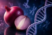 ژنتیک تعیین می‌کند پیاز را دوست داشته باشید یا نه
