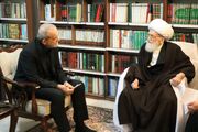 آیت الله نوری همدانی: از رییس جمهور حمایت می‌کنیم/ایجاد اختلاف به ضرر جریان انقلاب است