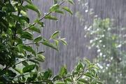 هشدار ناپایداری جوی در شمال و شمال شرقی کشور / رگبار، رعدوبرق و وزش باد شدید در راه است