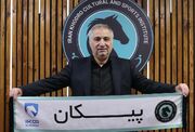 الهامی سرمربی پیکان شد
