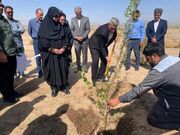 شینا انصاری از پارک جنگلی زاهدان بازدید کرد