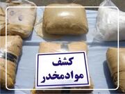 کشف ۷۰۰ کیلو مواد مخدر در استان خراسان‌رضوی