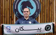 عالمی دستیار الهامی در پیکان شد