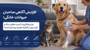 افزایش آگاهی صاحبان حیوانات خانگی؛ چرا پیشگیری از آسیب مفاصل سگ و گربه بیش از گذشته اهمیت پیدا کرده است؟