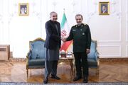 وزیر کشور پاکستان با دبیر شورای عالی امنیت ملی دیدار کرد