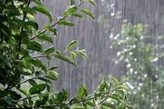 شمال و ارتفاعات کشور بارانی می شود / پیش بینی وزش باد شدید در تهران