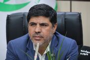 حذف ارز ترجیحی دارو صحت ندارد/ تغییر نرخ برخی مواد حدواسط به معنای گرانی گسترده نیست
