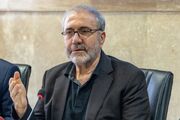 ذوالفقاری: کشت خشخاش ممنوع است/ جزئیات طرح جدید تحول درمان اعتیاد
