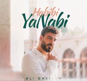 «حبیبی یا نبی» نغمه‌ای دو زبانه که مرزها را می‌شکند+صوت