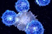 آنتی‌ژن (Antigen) چیست؟