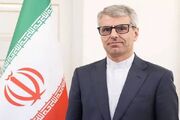 بقائی: ایران برای امنیت هرمز تصمیم می‌گیرد/ آمریکا مسئول افزایش قیمت سوخت است