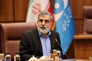کمالوندی: باید در برابر فشار سیاسی ایستادگی کنیم
