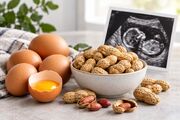 مصرف بیشتر تخم‌مرغ و بادام‌زمینی در دوران بارداری از حساسیت نوزادان جلوگیری نمی‌کند