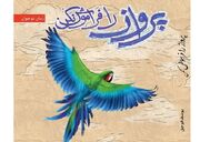 تأملی بر داستان بلند «پرواز را فراموش نکن»: پیوند ادبیات مقاومت با تمثیل فانتزی