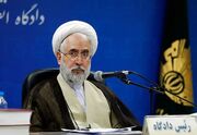 وب‌سرویس‌های وثیقه‌گذاری با هدف تسهیل امور مردم و کاهش جمعیت کیفری، به‌زودی در سراسر کشور راه‌اندازی خواهد شد