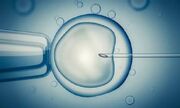لقاح آزمایشگاهی (IVF) چیست؟