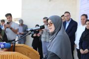 مهاجرانی: فشارهای اقتصادی نباید فرهنگ فرزندآوری را تغییر دهد/ لزوم توجه به دورکاری زنان باردار