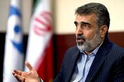 کمالوندی:ایران با اقتدار منافع کشور را دنبال خواهد کرد/جهانیان بدانند برنامه هسته‌ای ایران یک برنامه کاملا صلح‌آمیز است