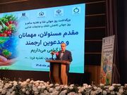 ۷۰ درصد بزرگسالان ایرانی اضافه‌وزن یا چاقی دارند؛ تغذیه نامناسب عامل مؤثر در ۳۵ درصد مرگ‌ومیرها