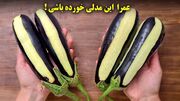 دستور پخت یک غذای لذیذ و جدید با بادمجان و سبزیجات (فیلم)