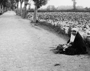 سفر به عصر قاجار؛ از عروسی دختر شاه تا چایی‌خوری در کاخ گلستان(عکس)