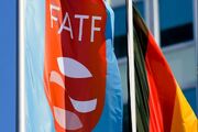 هاشمی: دولت تصویب FATF را به صلاح کشور می‌داند