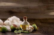 مضرات و خواص دارویی روغن پنبه دانه