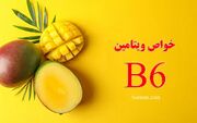 خواص ویتامین B6؛ راز سلامت مغز، خون‌سازی و بهبود خلق‌وخو