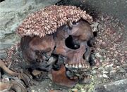 کشف حیرت‌ انگیز اسکلت ۲۸ هزار ساله با تاج باشکوه صدفی!