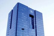بانک مرکزی: مسئول قیمت‌گذاری خودرو سازمان حمایت است