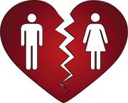 زن: شوهرم حتی خوراکی‌های خانه را می‌شمارد؛ طلاق می‌خواهم