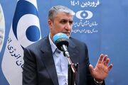 رئیس سازمان انرژی اتمی: امروز بیش از ۳۰۰ نوع مشتقات سنگین داریم