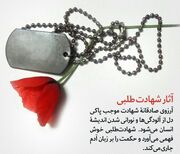 شهادت یک مامور انتظامی در نارمک تهران