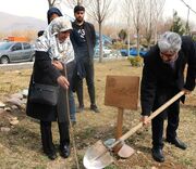 کاشت ۵۰۰ اصله نهال در دانشگاه علامه طباطبائی