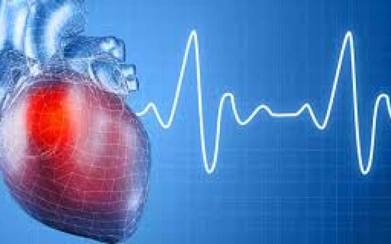 کشف شواهد جدید از قدرت خود-بازسازی قلب