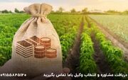 نکات مهم قرارداد اجاره زمین کشاورزی را چطور بنویسیم؟