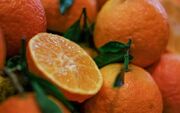 خواص شگفت انگیز نارنج برای سلامتی