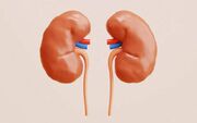 علائم هشدار دهنده بیماری‌ کلیوی