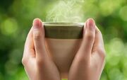 چگونه بهترین بهره را از چای سبز ببریم؟