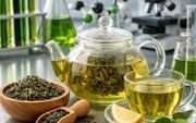 چای سبز؛ گیاهی با خواص دارویی قابل‌توجه