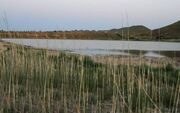 آخرین نفس‌های تالاب‌های خراسان