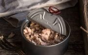 آیا خوردن روزانه ماهی تُن بی‌خطر است؟