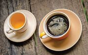چند فنجان سلامتی؛ چای یا قهوه؟